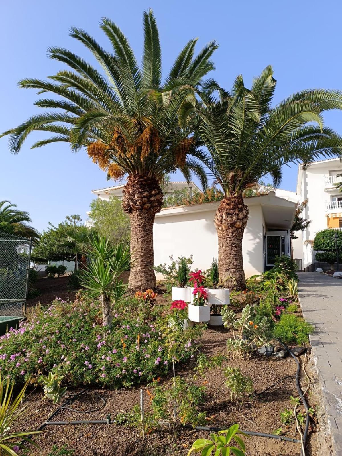 ארונה Vista Hermosa Apartment מראה חיצוני תמונה